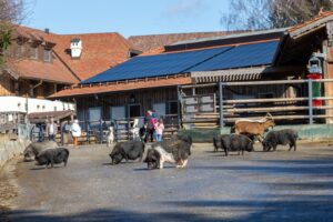 Gut Aiderbichl Henndorf