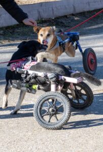 Gut Aiderbichl Henndorf